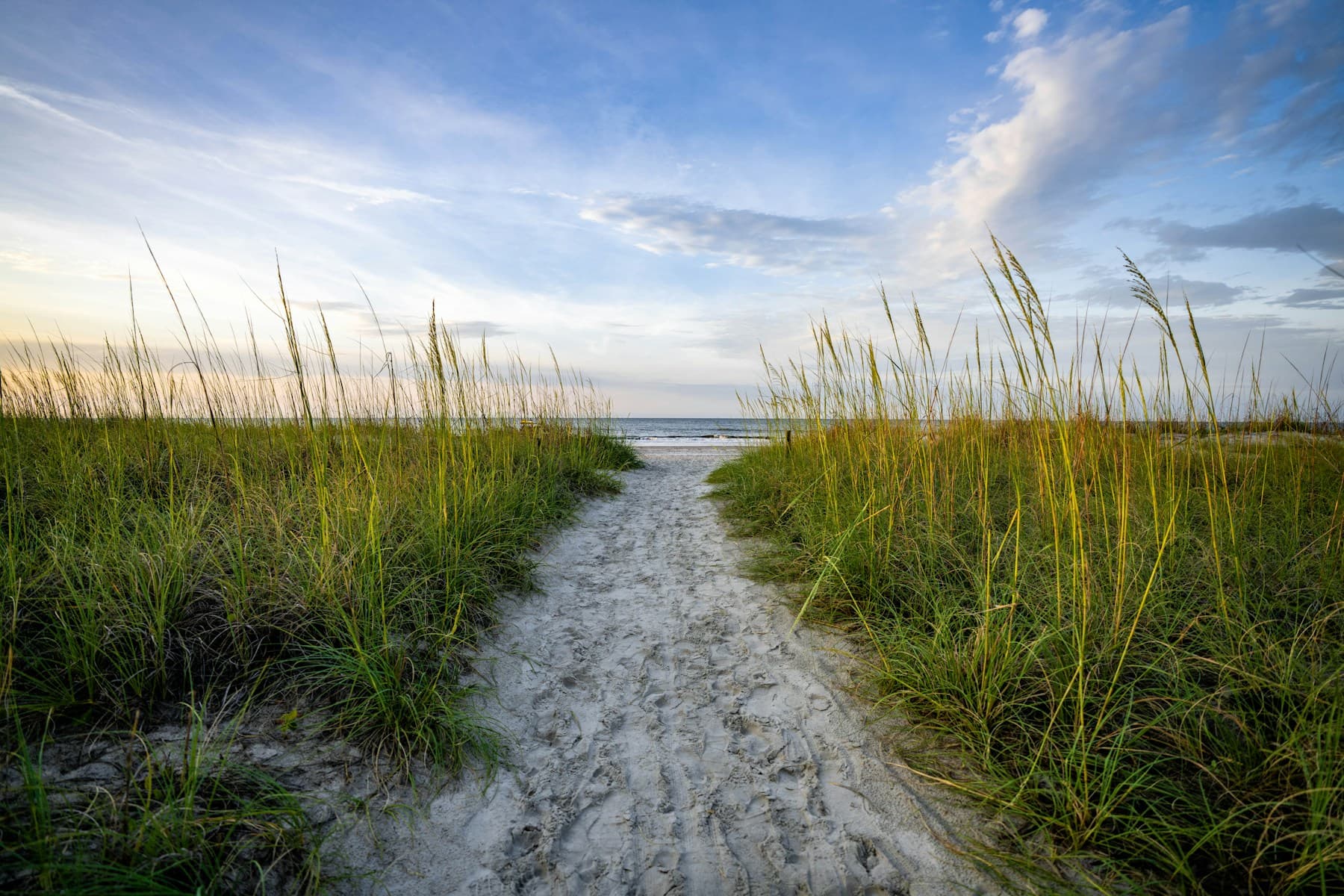 Sandy Hilton Head beach access framed by dune grass